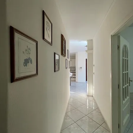 Apartment Runa